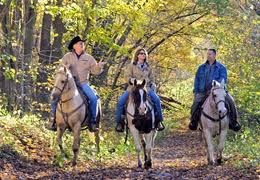 Horseback Riding