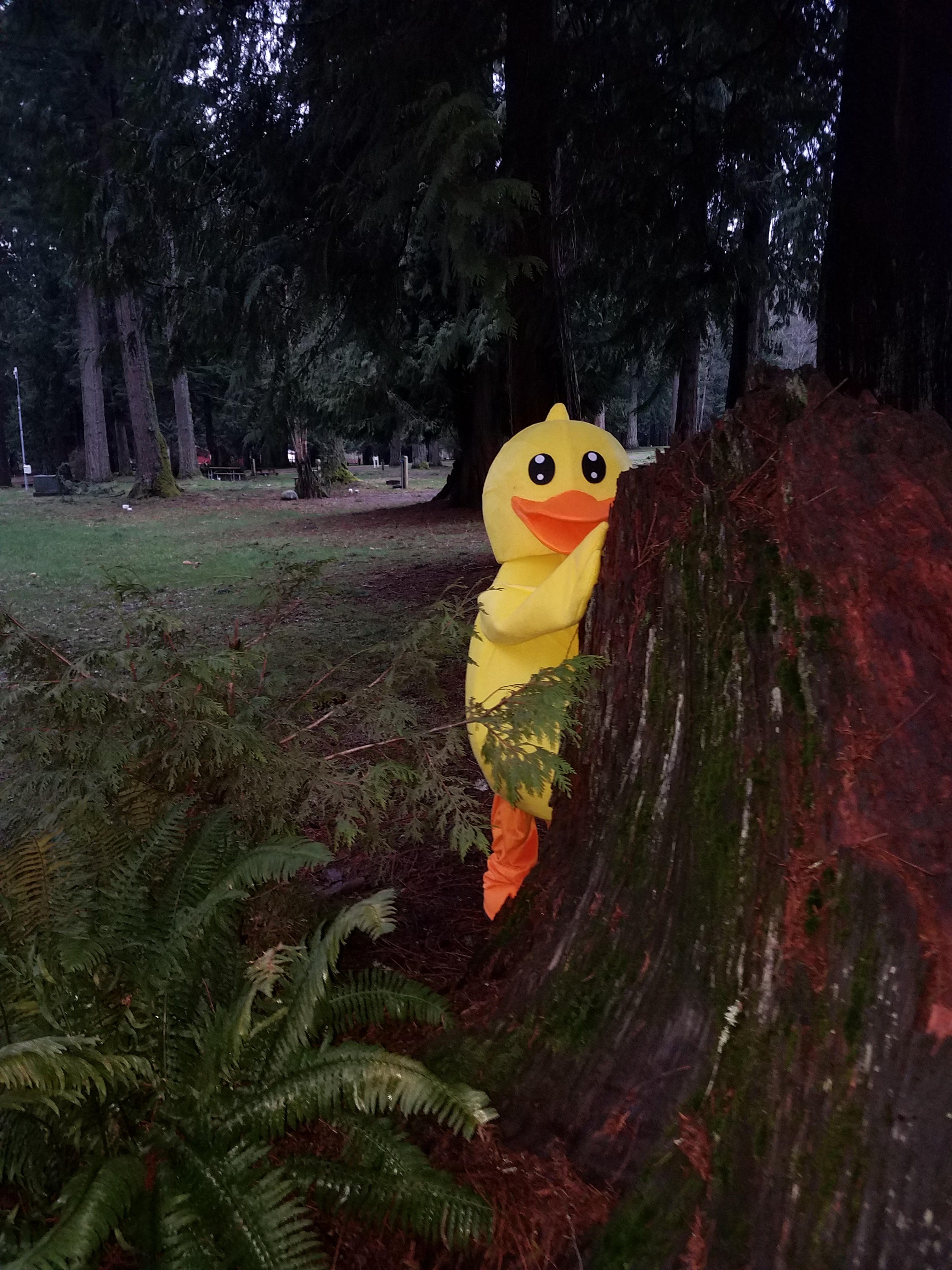 Concrete, Washington Campground Concrete / Grandy Creek KOA