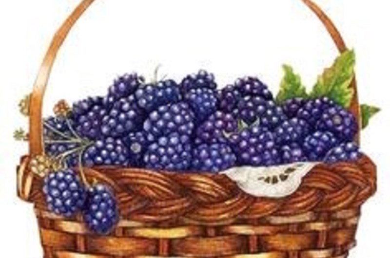 Blackberry Festival Photo