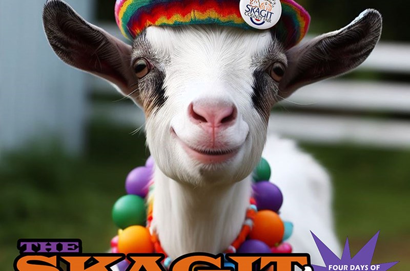 Skagit County Fair Photo