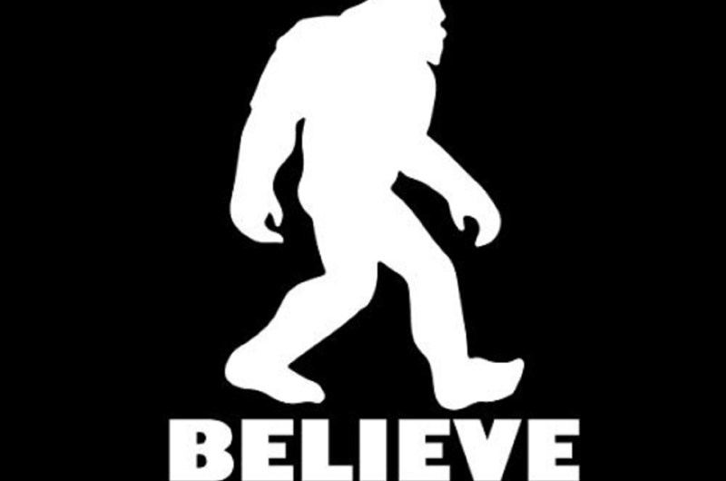 Bigfoot is Among Us Photo