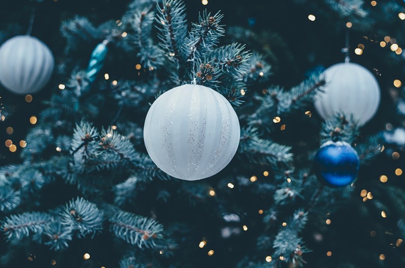 Christmas in July with Reindeer Games Photo