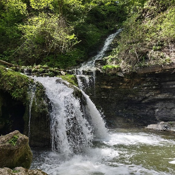Hiking Area Trails