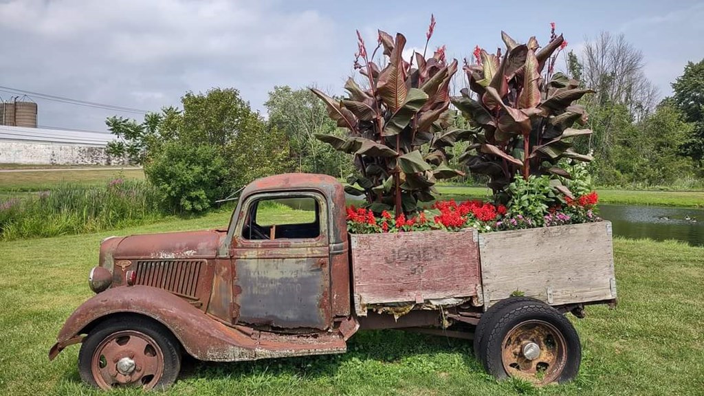 Farm Stand Adventures