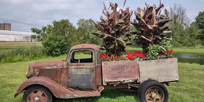 Farm Stand Adventures