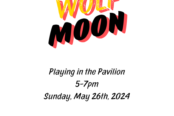 Wolfmoon Concert Photo