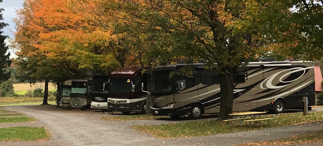 The Pines: close to the playground, shady with beautiful views, and long enough to accommodate large coaches with tows