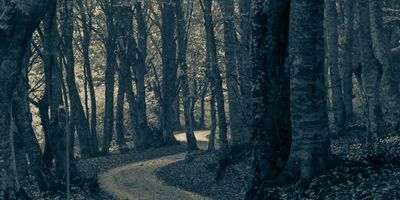 Haunted Woods & Boo Fest