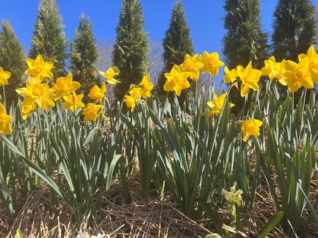 Corbin / Laurel Lake KOA Journey