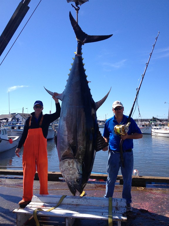MacNeill's Tuna & Deep Sea Fishing