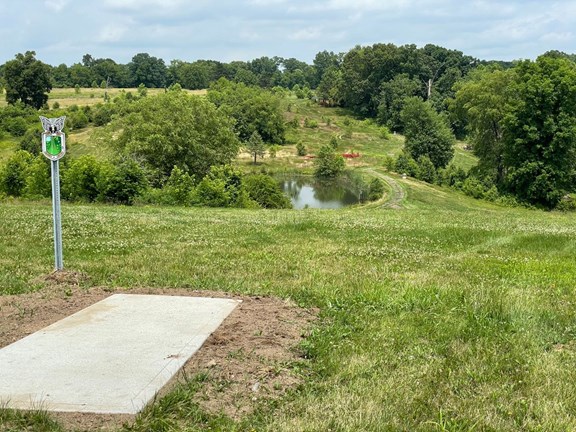 Disc Golf