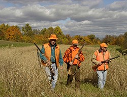 Best Public Hunting in Ohio