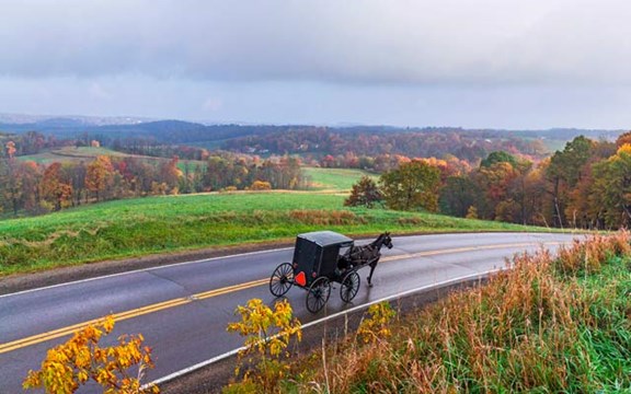 Coshocton Area Amish & Agritourism