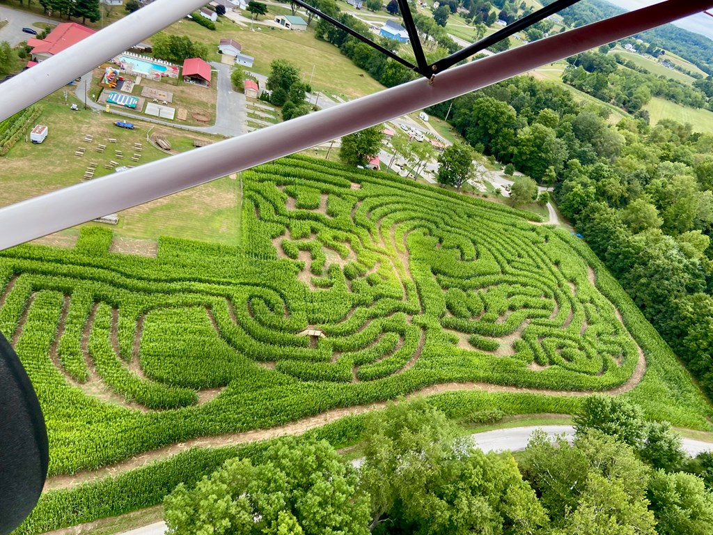 The 10th Birthday of McPeek's Mighty Maze