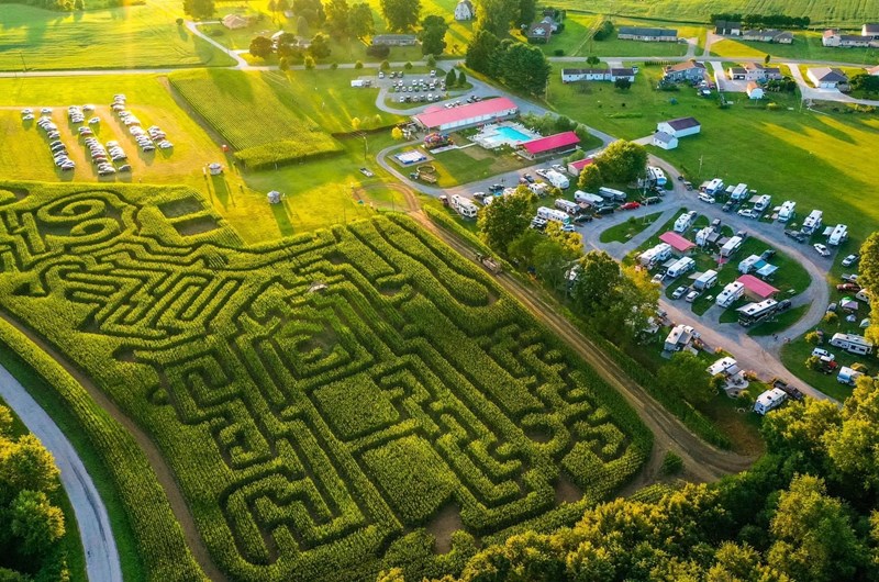 Giant Corn Maze Adventure Photo