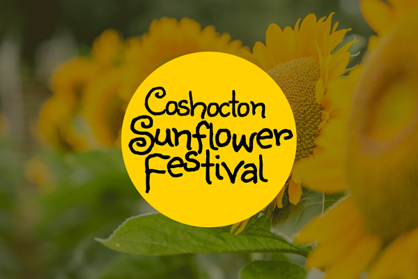 Coshocton Sunflower Festival Photo