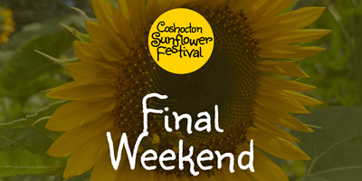 Final Festival Day - Coshocton Sunflower Festival