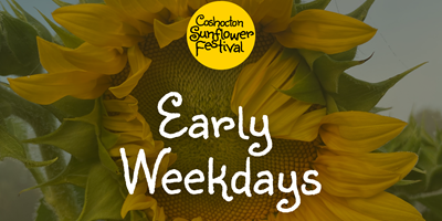 Early Weekdays - Coshocton Sunflower Festival