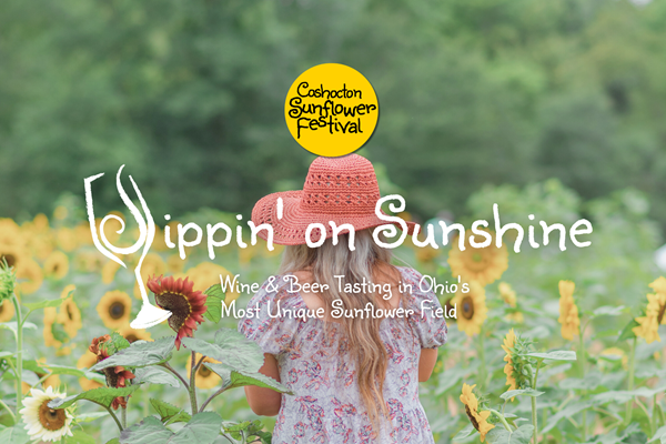 Sippin' on Sunshine - Coshocton Sunflower Festival Photo