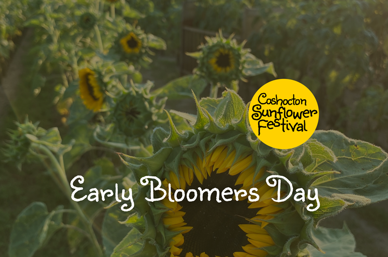 Early Bloomers Day - Coshocton Sunflower Festival Photo