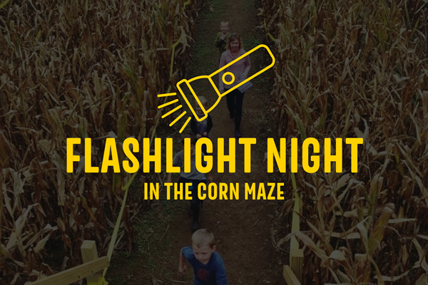 Corn Maze Flashlight Night Photo