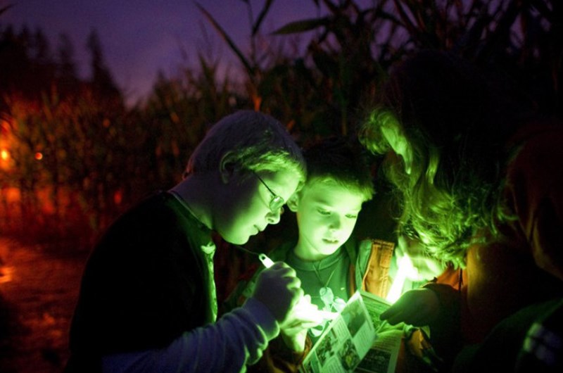 Flashlight Nights at the Corn Maze Photo