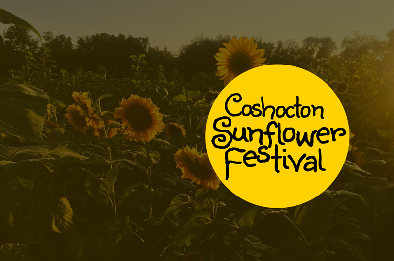 Coshocton Sunflower Festival Photo