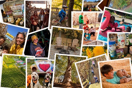 Coshocton KOA Holiday