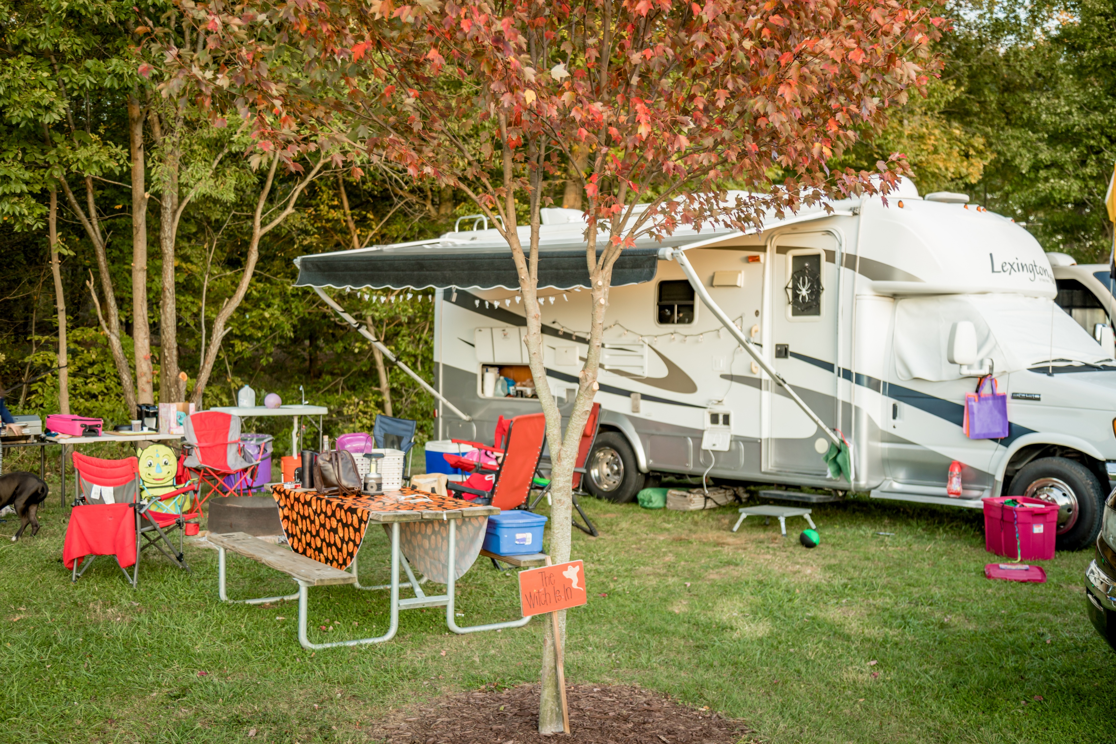 Coshocton KOA WE Back-in, Grass
