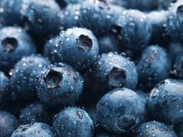 U-Pick Blueberries