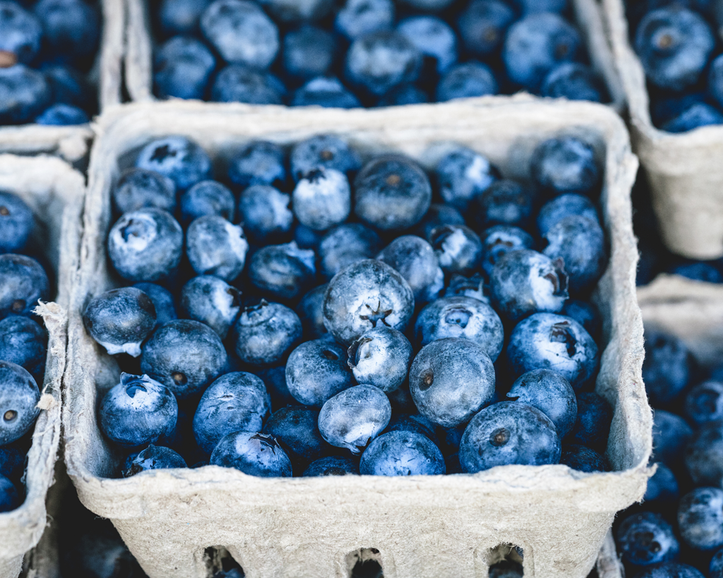 Blueberry Season has started! (and other updates)