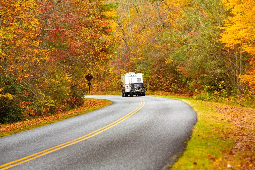 The Ultimate Guide to Leaf Peeping in Covert/South Haven, MI