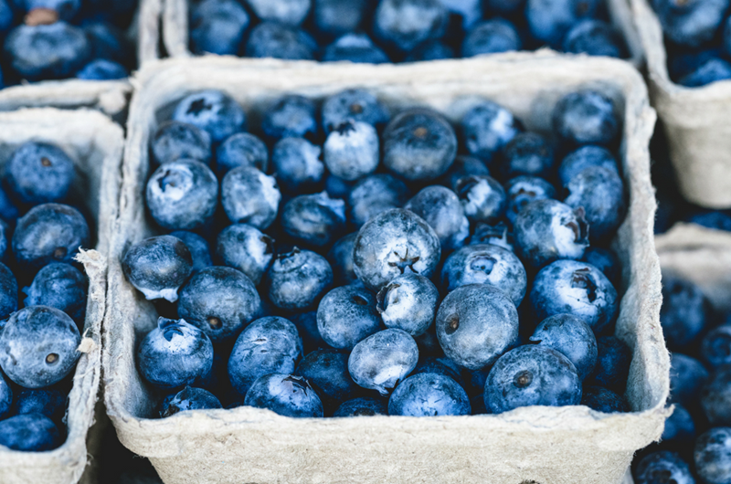 South Haven Blueberry Festival Photo