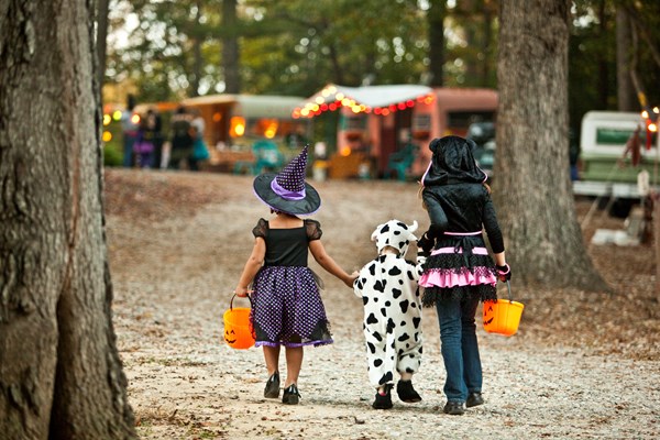 Halloween Festivities Photo