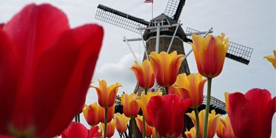 Tulip Time Festival, Holland, Michigan