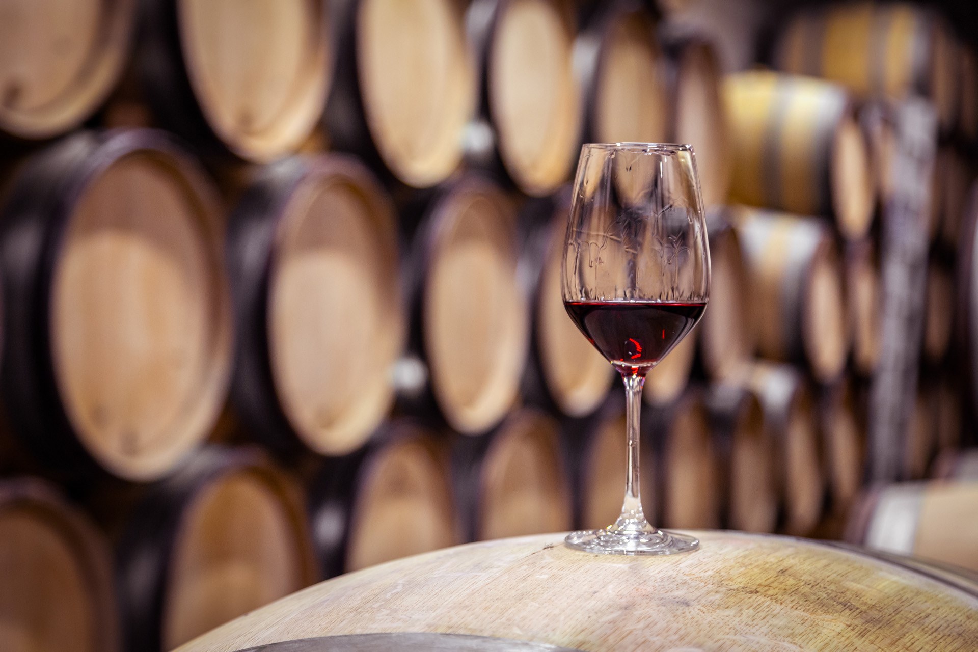 Paw Paw Wine & Harvest Festival Photo