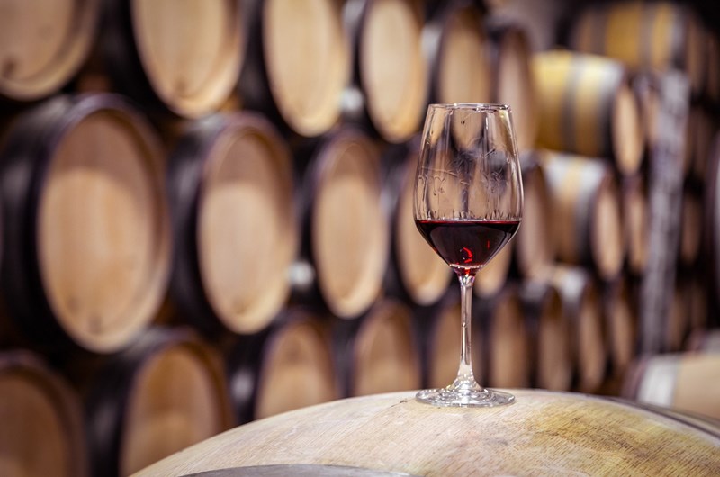 Paw Paw Wine & Harvest Festival Photo