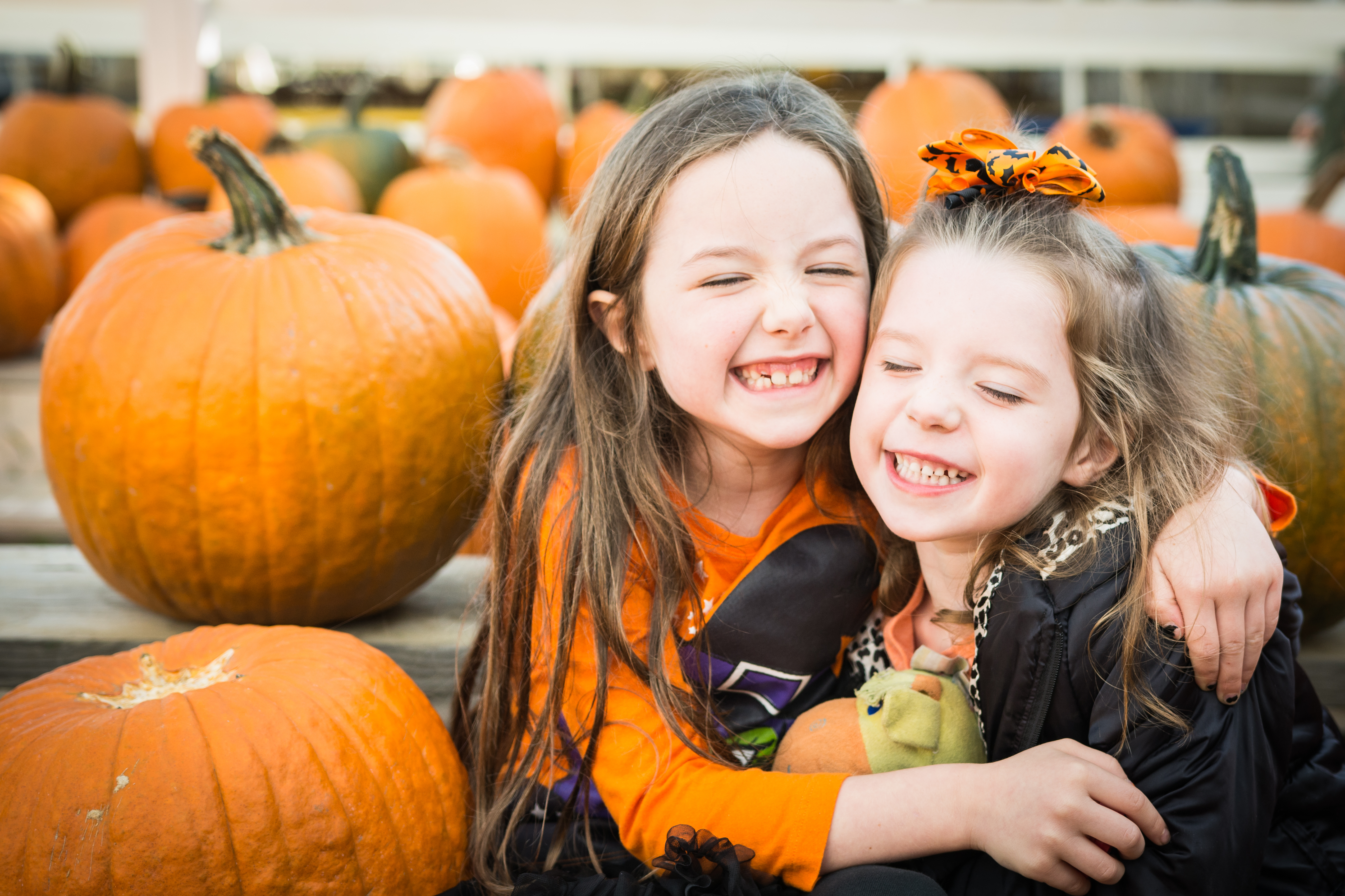 Halloween Weekends Photo