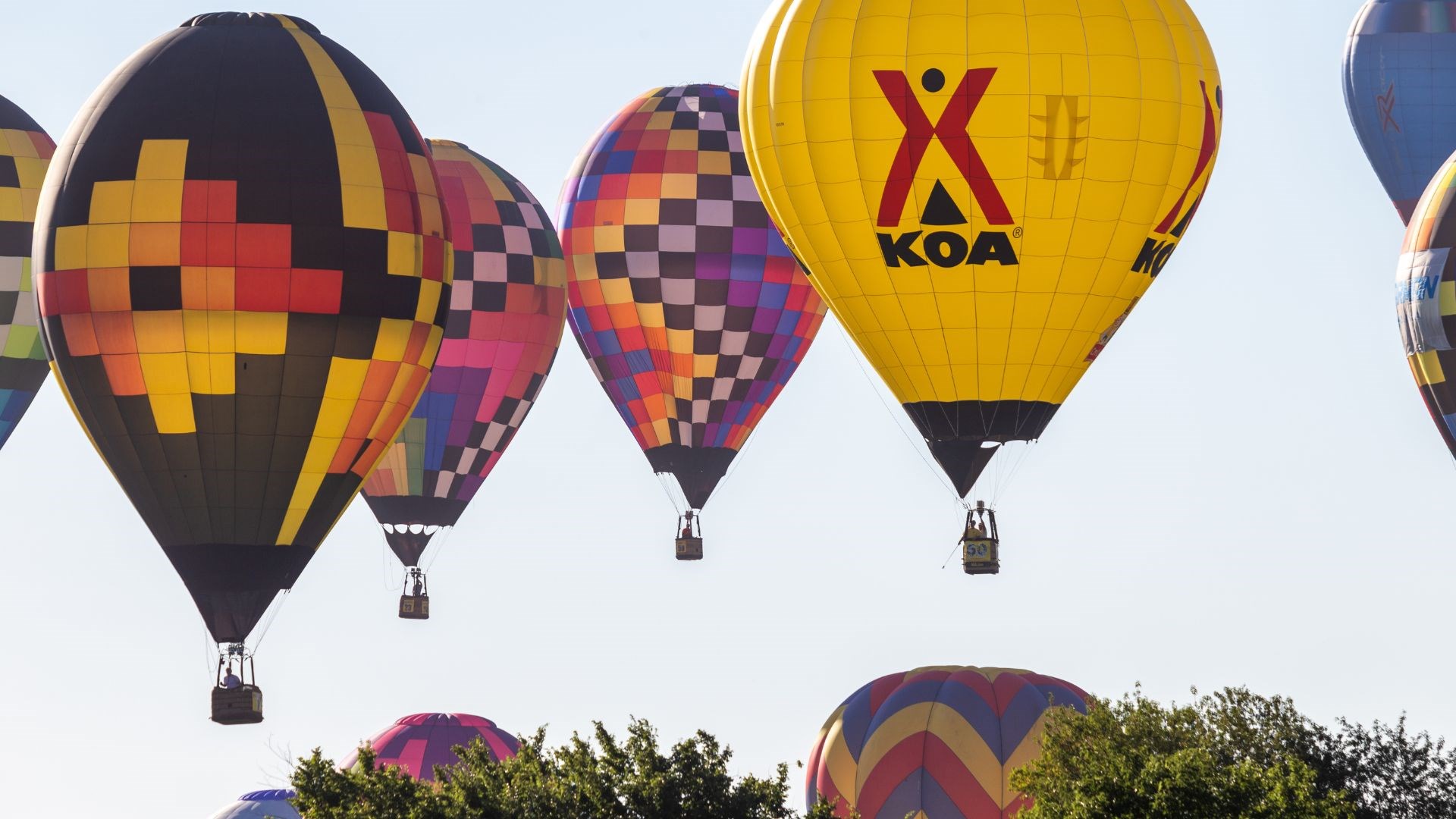 Field of Flight Air Show & Balloon Festival Photo