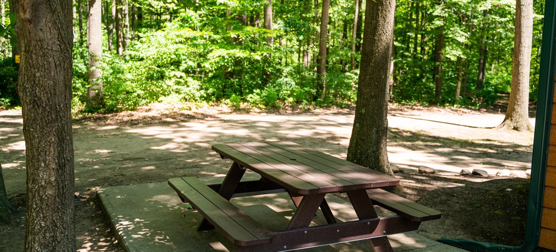 Studio cabins near pond