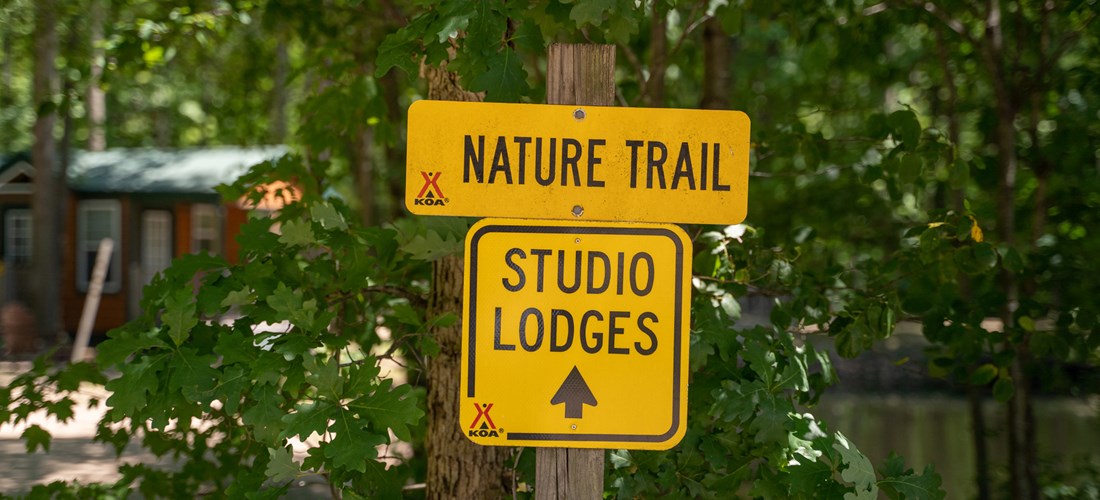 Studio cabins near pond