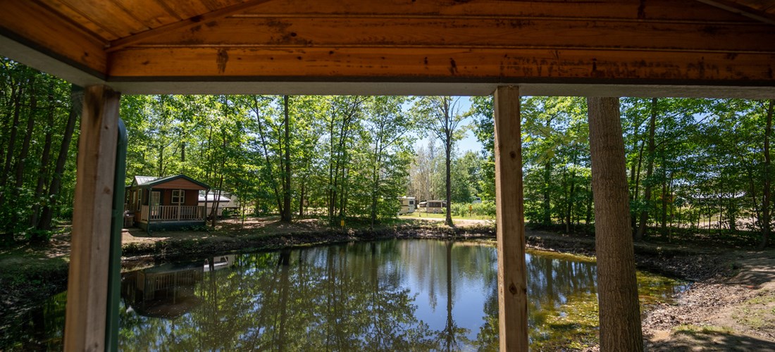 Studio cabins near pond