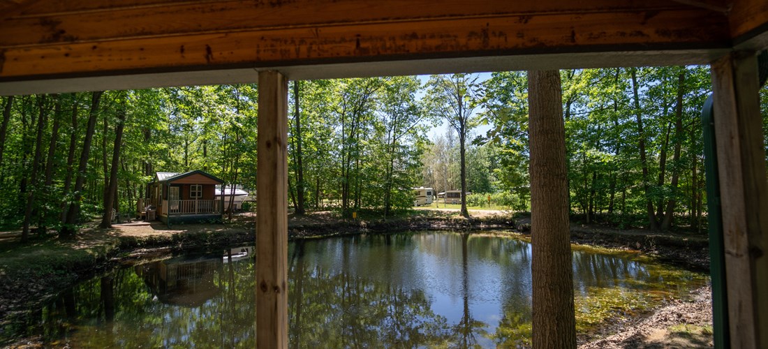 Studio cabins near pond