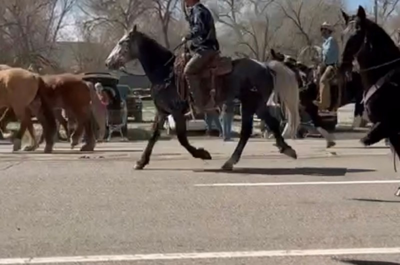 Sombero Ranches Great American Horse Drive Photo
