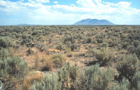 Snake River Plain