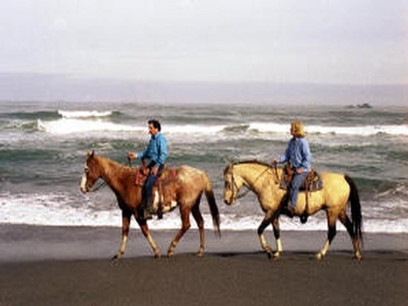 Horseback Riding