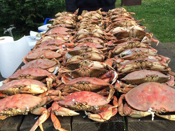 Crabbing and Clamming