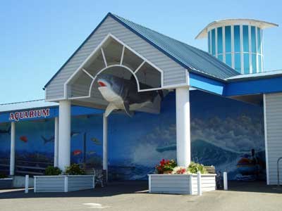 Ocean World (5 miles)