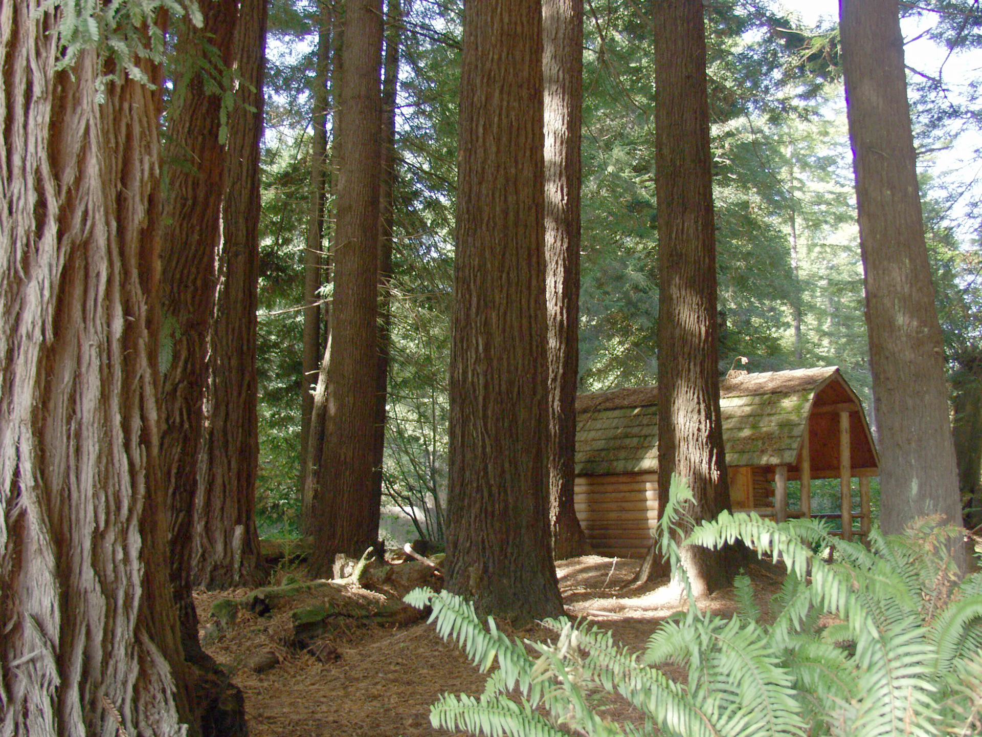 Redwoods Koa Holiday