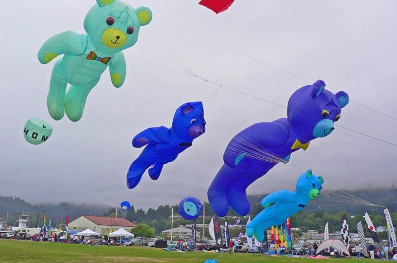 Southern Oregon Kite Festival Event At The Crescent City Redwoods Koa Holiday Campground In California Kite Festival Brookings Oregon 2022